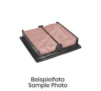 Filtro Aria Motore Per MASTER IV 2.3DCI 10- 165462604R 16546-00Q3E