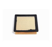 Filtro Aria Opel Ampera 2011-2015 Chevrolet Volta I dal 2011 20871244 FA1139