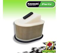 FILTRO ARIA ORIGINALE OEM KAWASAKI Z 750 2004 2005 2006 2007 2008 2009 2010 2011