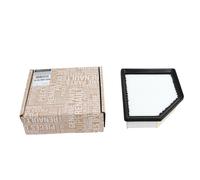 Filtro aria originale Renault Austral 1.3TCE 165466RA0A
