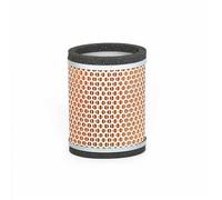Filtro aria originale t2202450 Triumph America/Speedmaster/ThunDerbird