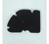 Filtro aria P2R per Scooter Peugeot 250 Satelis 2004-2020