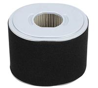 Filtro aria Parte di ricambio del filtro aria Adatto per GX390 GX340 11 13 Accessorio per attrezzi da giardino per esterni