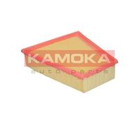 Filtro aria per ACURA AUDI BERTONE BMW CITROËN DACIA DAIHATSU FIAT FORD FORD USA