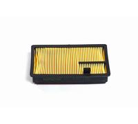 Filtro Aria Per Aixam 500 1990/10-1996/09 Codice Originale 16667-1108-0