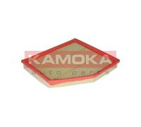 Filtro aria per BMW 5 6