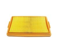 Filtro aria per Bmw E3 (09/1971-02/1977)