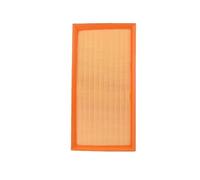 Filtro Aria Per Bora Per Golf New Beetle 1999 2000 2001 2002 2003 2004 2005 2006 1J0129620 1J0819644A Filtro Abitacolo Antipolline Per Motore Auto Filtro dell'aria(1xEngine Air Filter)