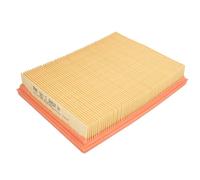 Filtro aria per BUICK REGAL, RENDEZVOUZ, CADILLAC DEVILLE, SEVILLE, CHEVROLET