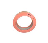 Filtro aria per GAZ MERCEDES-BENZ 123 GAZELLE O 309 SOBOL (2217) SOBOL (2310) T1