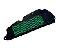 Filtro Aria Air Filter specifico per Forza 350 2020 2021 2022