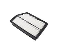 Filtro Aria Per Hyundai Per Tucson Per Ix35 Ix LM 2010-2015 Per Kia Per Sportage SL 2011-2016 1.6 1.7 2.0 2.4 28113-2S000 Filtro Aria Motore Abitacolo Filtro dell'aria