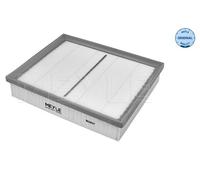 Filtro aria per MERCEDES-BENZ NISSAN RENAULT ALASKAN CLASSE X NAVARA NP300