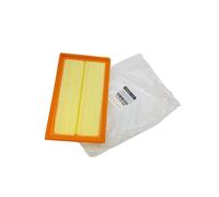 Filtro Aria Per Renault Clio II III 8671019066, 165460588R, 8200437229
