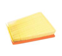 Filtro aria per RENAULT GRAND SCÉNIC II, KANGOO Express; NISSAN NV250