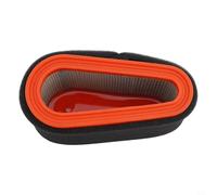 Filtro aria per tosaerba Castelgarden, Mountfield e Alpina - Compatibile con GGP 7500, 7750 e modello motore 118550199/0 - plastica + spugna + metallo