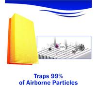 Filtro aria plissettato piatto di ricambio per estrattori polvere Bosch VAC090 e