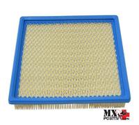 FILTRO ARIA POLARIS PREDATOR 500 2003-2007 ALL BALLS 48-1025