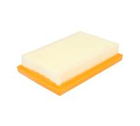 PURFLUX A1613 Filtro aria motore Cartuccia filtro