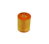 Filtro Aria Purflux A393