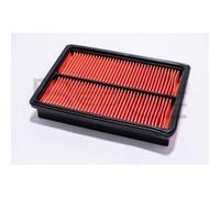 Filtro Aria Red-line 36MZ012 per Ford Mazda Amc