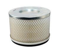 Filtro Aria Ricambio Sure Filtro Tecnologia SFA1125P