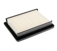 Denckermann Filtro aria ricircolo A142101 per Opel Karl (C16) e Vauxhall Viva (C16)