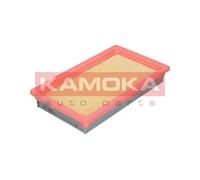 Filtro aria ricircolo F211901 KAMOKA per NISSAN BMW ALFA ROMEO INFINITI AUDI
