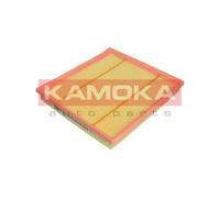 Filtro aria ricircolo F243501 KAMOKA per BMW 5 Touring X3 7 5 X5 X6 6 Cabriolet