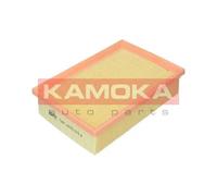 Filtro aria ricircolo F244001 KAMOKA per BMW OPEL CHEVROLET PORSCHE AUDI BUICK
