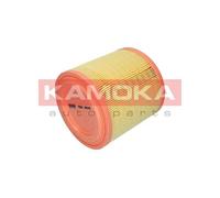 Filtro aria ricircolo F253301 KAMOKA per TOYOTA NISSAN CITROËN BMW