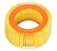 Filtro Aria Rms, Per Scatola Filtro Originale, Ape Car P2-P3-Mp P501-P601-Tm P602-Tm P703-P703