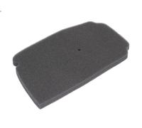 Filtro aria RMS RMS 10 060 017
