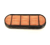 Filtro aria secondaria DONALDSON P606121