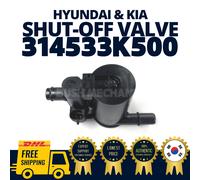 Filtro aria solenoide spurgo bomboletta vapore valvola di spegnimento Hyundai...
