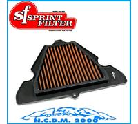 Sprint Filter Pm111s Kawasaki Air Filter Argento