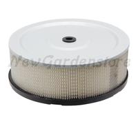 Filtro aria tagliaerba tosaerba rasaerba compatibile ROBIN 0187-6068
