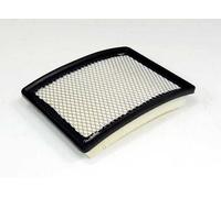 Filtro Aria Terraza 2005-2007 Cadillac Deville/Seville 4.6 1998-2005 (JP)