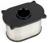 Filtro aria HIFLO HFA3609