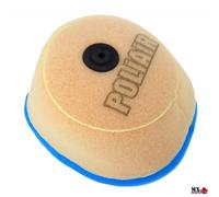 FILTRO ARIA TM EN 250 2008-2012 POLIAIR PA2429