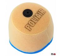 FILTRO ARIA TM EN 300 2013-2021 POLIAIR PA2446