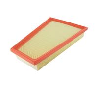 Filtro Aria VAICO Per PEUGEOT OE 1444.WP V42-0118