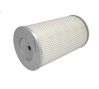 Filtro aria WIX FILTERS 42917 per DAF XF 105 12.903 2005-