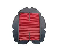 Filtro aria yahama tdm 900 02-13