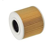 Filtro, aspirapolvere umido/secco KARCHER 6.414-789.