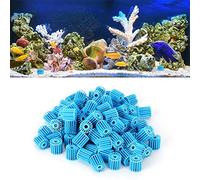 Filtro Bio -Bio di Plastica, Sfera per Aquarium da 100 Pezzi Permanente, per la Filtrazione dell'acquario Che Garantisce la Filtrazione Biologica