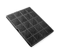 Filtro carbone attivo per cappe Best