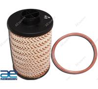 Filtro carburante 1001CAA14881N per Mahindra Roxor Kuv 100 Tuv 300 Xuv 500 2a...