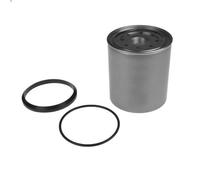Filtro carburante BLUE PRINT ADA102315 per JEEP CHEROKEE (XJ) 2.5 1995-2001