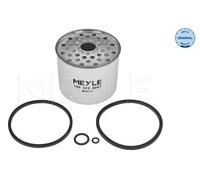 Filtro carburante Cartuccia filtro 100 323 0007 MEYLE per FORD AUDI VW RENAULT